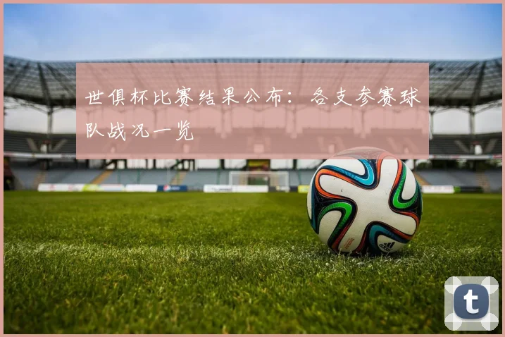 世俱杯比赛结果公布：各支参赛球队战况一览