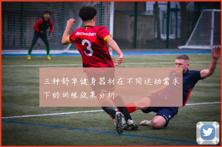 三种舒华健身器材在不同运动需求下的训练效果分析